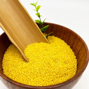 ลูกเดือยสีเหลืองเกรดต้นพืชใหม่สำหรับผู้ซื้อขายส่งราคาไม่แพง - Product Image 1