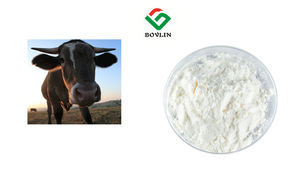 Hidrolize sığır kolajen peptid tozu toptan fiyat 90% sığır kollajen tozu - Product Image 6