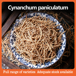 รากสมุนไพรพานิคูลาทัม (Cynanchum Paniculatum) หรือ ซูชางชิง (<span class=keywords><strong>Xu</strong></span> Chang Qing) หรือ รากซินอันชุม พานิคูลาที (Radix Cynanchi Paniculati) - Product Image 2