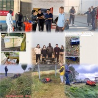 Desbrozadora de Martillos Vigorun con Motor de Gasolina Industrial Euro 5 de 420cc, Control Remoto Inalámbrico Eléctrico