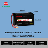 Baterai Drone Semi-solid State 12S 40000mah dengan Proteksi BMS Kustom OEM untuk Peralatan UAV Pertanian, Penyemprotan Pestisida, dan Agro-Industri