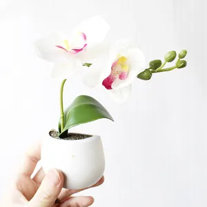 Bán Hot Magnetic Creative Vase Cây Nhân Tạo Chậu Cây Dán Bảng Bonsai Tủ Lạnh Nam Châm Nhắn Sticker Lưu Ý Chủ