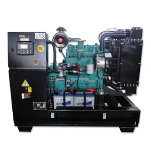 DCW-20T5 50Hz PRP 20KVA 16KW Cummins 4B3.9-G11 Diesel Generator