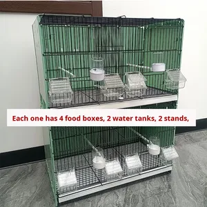 Yeni Metal Kuş Üretim Kafesleri, Kanarya, Gri Serçeler, Altın Sığırlar ve Hibiskus Evcil Kuşları için Sıkı Bağlantılı - Product Image 3