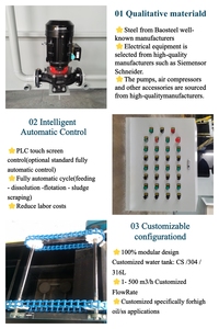 Máquina de Flotación por Aire Disuelto (DAF) Utilizada para Plantas de Tratamiento de Aguas Residuales de Patatas - Product Image 6