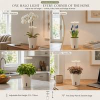 Kit de Jardinage Orchidée en Boîte Cadeau avec Anneau Lumineux de Croissance et Arrosage Automatique, Recharge USB, Design Moderne, Pour Usage Domestique, Prêt pour la Vente de Noël