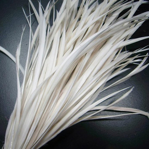 Bán buôn số lượng lớn <span class=keywords><strong>Loose</strong></span> Trắng ngỗng biot lông Tước Pluma cho Fly buộc mũ câu cá DIY Craft vật làm tóc trang trí - Product Image 1