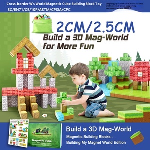 2.5CM 100 pezzo blocco magnetico del mondo di costruzione Mini cubi magnetici stelo del bambino Montessori cubi sensoriali BlockToys - Product Image 2
