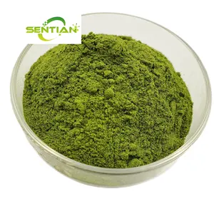 Healthcare Supplements Neem Leaf Extract Powder Neem Leaf Powder