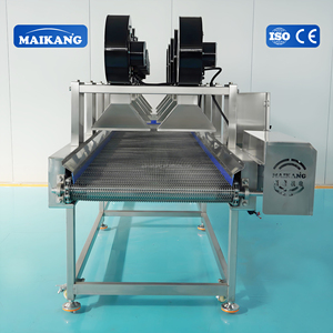 Linea di Lavorazione Verdure Fresche a Funzionamento Semplice, in Acciaio Inossidabile per Uso Alimentare, per Confezioni di Contorni o Scatole di Frutta Fresca - Product Image 5