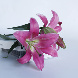 Lys dans <span class=keywords><strong>la</strong></span> Grèce antique : les lys étaient associés à <span class=keywords><strong>la</strong></span> <span class=keywords><strong>déesse</strong></span> Héra et symbolisaient <span class=keywords><strong>la</strong></span> pureté et <span class=keywords><strong>la</strong></span> <span class=keywords><strong>maternité</strong></span>. Couleurs vives. Durables. - Product Image 3