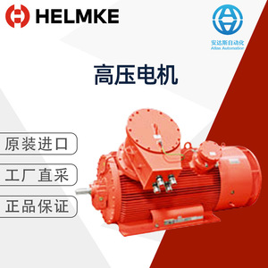 Motor de Inducción de Alto Voltaje Helmke, a Prueba de Explosiones, Trifásico, Montaje a Pie, Origen Alemán - Product Image 1
