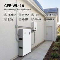 Batterie LiFePO4 16kWh 10kWh 5kWh CFE-WL-16 Split 51.2V 314Ah CAN RS485 6000+ Cycles Garantie 5 ans CE CB OEM compatible GoodWe Growatt