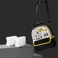 Réchauffeur d'air glacé PH109207, 10 pièces, blocs de glace, pour le stockage des sacs à lait de sein