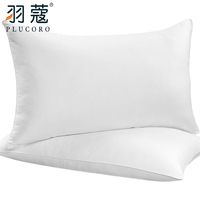 Oreiller en plume de canard pour l'hôtel, coussin médical, vente en gros, économique