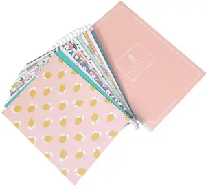 Carpeta colgante decorativa para archivos, tamaño de 12 letras, colores reforzados, pestañas ajustables de corte, bonitos diseños