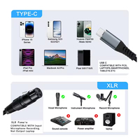 USB-C zu XLR Audio-Kabel, Typ-C zu XLR Ausgangskabel mit Hi-Fi DAC-Chip für Mischpulte, Verstärker & Studiomonitore
