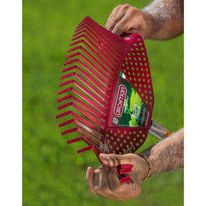 Scopa dei Ricordi - Articolo 173 - Product Image 3