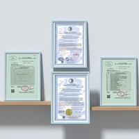 Assaisonnement de poulet de qualité supérieure, mélange de poudres séchées certifié Halal, 1 kg pour les grandes quantités, débloquez le secret d'une marinade parfaite