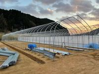 Tunnelkas voor groente- en fruitteelt |   Geïntegreerde dienstverlening van ontwerp, productie en installatie