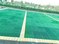 Pavés d'herbe en plastique/grille de gazon/grille de gravier en plastique allée 38mm 50mm pavés d'herbe en plastique pavés de grille d'herbe pour le lot d'emballage
