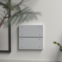 Interruptor de pared inteligente para Tuya Zigbee, nuevo diseño personalizado, 220-240V, Material de aluminio para PC, 10A, corriente máxima, escena estándar del Reino Unido Con