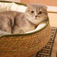 Lit pour chat en rotin tissé naturel, moderne, solide, fait main, avec coussin, pour l'intérieur, toutes saisons