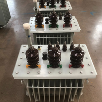 Transformateur de distribution de puissance triphasé à bain d'huile S11 800 KVA 11/0,4 kV 50 Hz