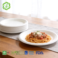 Assiettes jetables biodégradables en amidon de maïs LVHE, 6-10 pouces, pour barbecue, fêtes, restaurants, réutilisables, sûres, écologiques, vaisselle résistante
