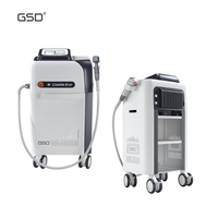 GSD FCD 직업적인 Microcurrent 미장원 기계 810nm 레이저 다이오드 레이저 미장원 장비