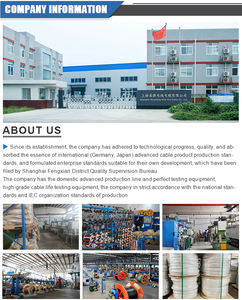 Câble électrique torsadé ROUSHENG TRVV haute flexibilité, 10 conducteurs, 0,2 <span class=keywords><strong>mm</strong></span>, câble en cuivre torsadé, isolation en PE, feuille d'aluminium, 300V - Product Image 6