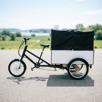 Scooter électrique à 3 roues pour adultes, tricycle à pédales, vélo cargo à 3 roues, vélo électrique à forte capacité de charge, semi-camion électrique