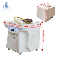 Fauteuil de lavage de cheveux portable avec bac de massage et réservoir d'eau intégré pour salon de coiffure
