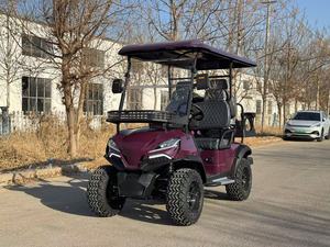 Voiturette de golf électrique tout-terrain personnalisée QiFan Shandong Factory avec batterie au plomb-acide 48V 150Ah - Product Image 5