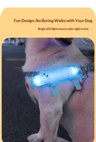 Cravate et nœud papillon LED en crocodile de haute qualité pour chats et chiens avec 3 modes d'éclairage, rechargeable USB Type-C, Halloween/Noël