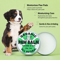 Brosse lissante autonettoyante naturelle 60g pour chiens et chats avec picots en acier inoxydable, design moderne et minimaliste pour le soin des pattes et du nez