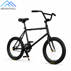 20인치 알루미늄 합금 포크 픽시 산악자전거 스틸 프레임 듀얼 디스크 브레이크 경량 BMX 싱글 스피드 도매 - Product Image 1