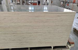 Contreplaqué marin 4x8 <span class=keywords><strong>en</strong></span> peuplier, contreplaqué filmé E2 pour la construction de conteneurs, <span class=keywords><strong>coffrage</strong></span> de construction, <span class=keywords><strong>coffrage</strong></span> <span class=keywords><strong>en</strong></span> béton - Product Image 3