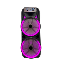 Enceinte de karaoké double 15 pouces 80W avec 1 microphone sans fil USB/AUX/RCA/XLR TF pour lumière RGB et télécommande en plastique YFY-21501