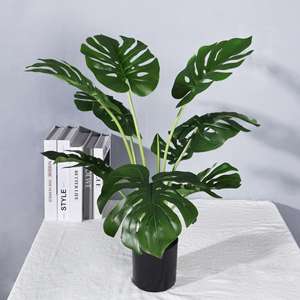 กระถางพลาสติกสีเขียว<span class=keywords><strong>ป</strong></span>ระดิษฐ์<span class=keywords><strong>ต้น</strong></span>ไม้ Ficus lyrata สำหรับตกแต่งภูมิทัศน์ในร่ม - Product Image 2