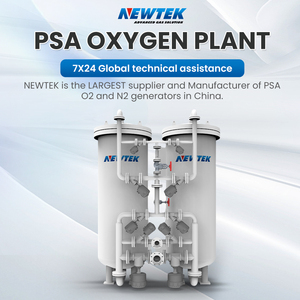 Newtek nóng bán độ tinh khiết cao 30nm/h khí 93% thế hệ thiết bị công nghiệp PSA oxy Máy phát điện cho thiết bị điện tử - Product Image 4