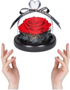INUNION, ventas al por mayor, <span class=keywords><strong>rosas</strong></span> personalizadas para siempre con caja de regalo, flores preservadas, <span class=keywords><strong>rosas</strong></span> eternas en cúpula de cristal para <span class=keywords><strong>cumpleaños</strong></span>, San Valentín - Product Image 4