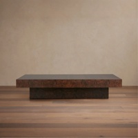 Table basse rectangulaire prestigieuse en bois de Mappa, table centrale de luxe à base surélevée, ensemble de table basse en bois exotique style RH