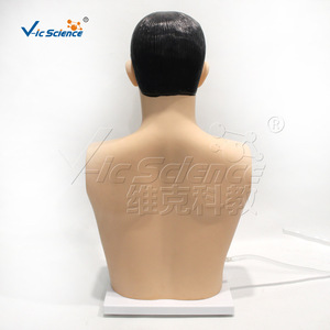 Modèle avancé d'entraînement en soins infirmiers de base, modèle pédagogique médical humain - Product Image 4
