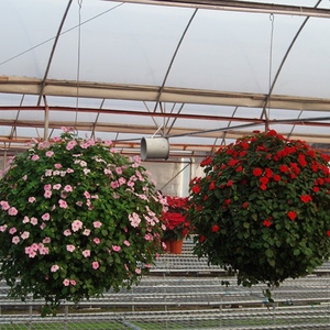 Macetas Colgantes Económicas para Decoración de Jardín, Tipo Farola - Product Image 5