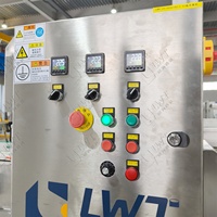 Ligne de transformation continue de fruits et légumes entiers de 500 kg/h avec système de refroidissement, trancheuse motorisée en acier inoxydable