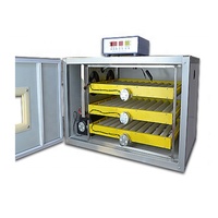 Incubateur automatique pour œufs de poulet, 2 unités, usage de ferme couveuse d'œufs