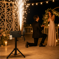 Machine à fontaine de feux d'artifice rotative à tête unique pour effets de scène de mariage et de fête, télécommande sans fil, allumage à la flamme (type A/B)