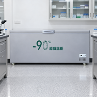 -70 ℃   -90 ℃   Réfrigérateur-congélateur à très basse température, prise européenne 220V-240V, acier inoxydable 201, réfrigérant R290