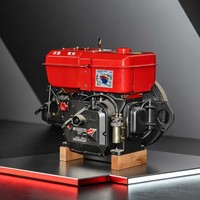 Moteur diesel refroidi par eau Changchai ZS195 12HP 13HP pour tracteur